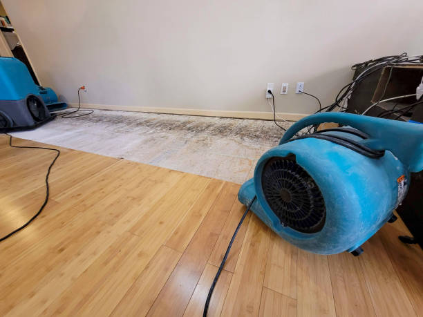 Professional Sewage Cleanup technician working in Bloomington Springs, TN